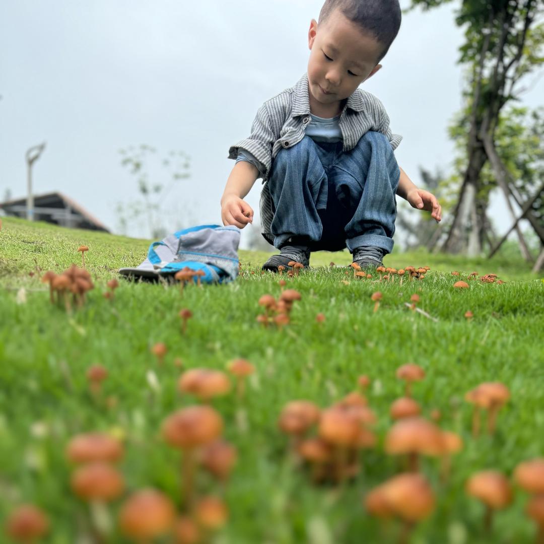 🍊欢仔情绪碎片