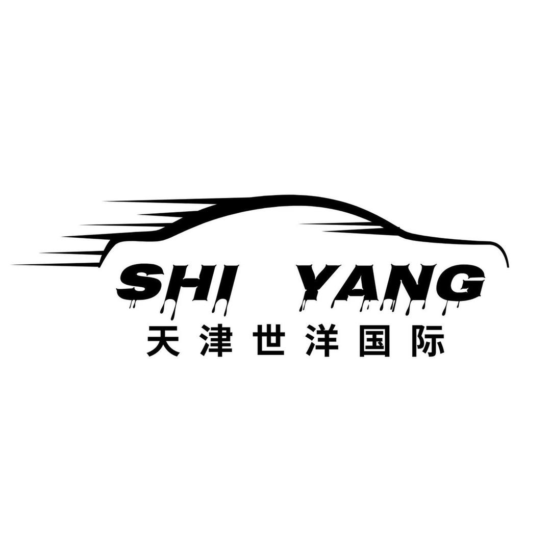 天津世洋国际