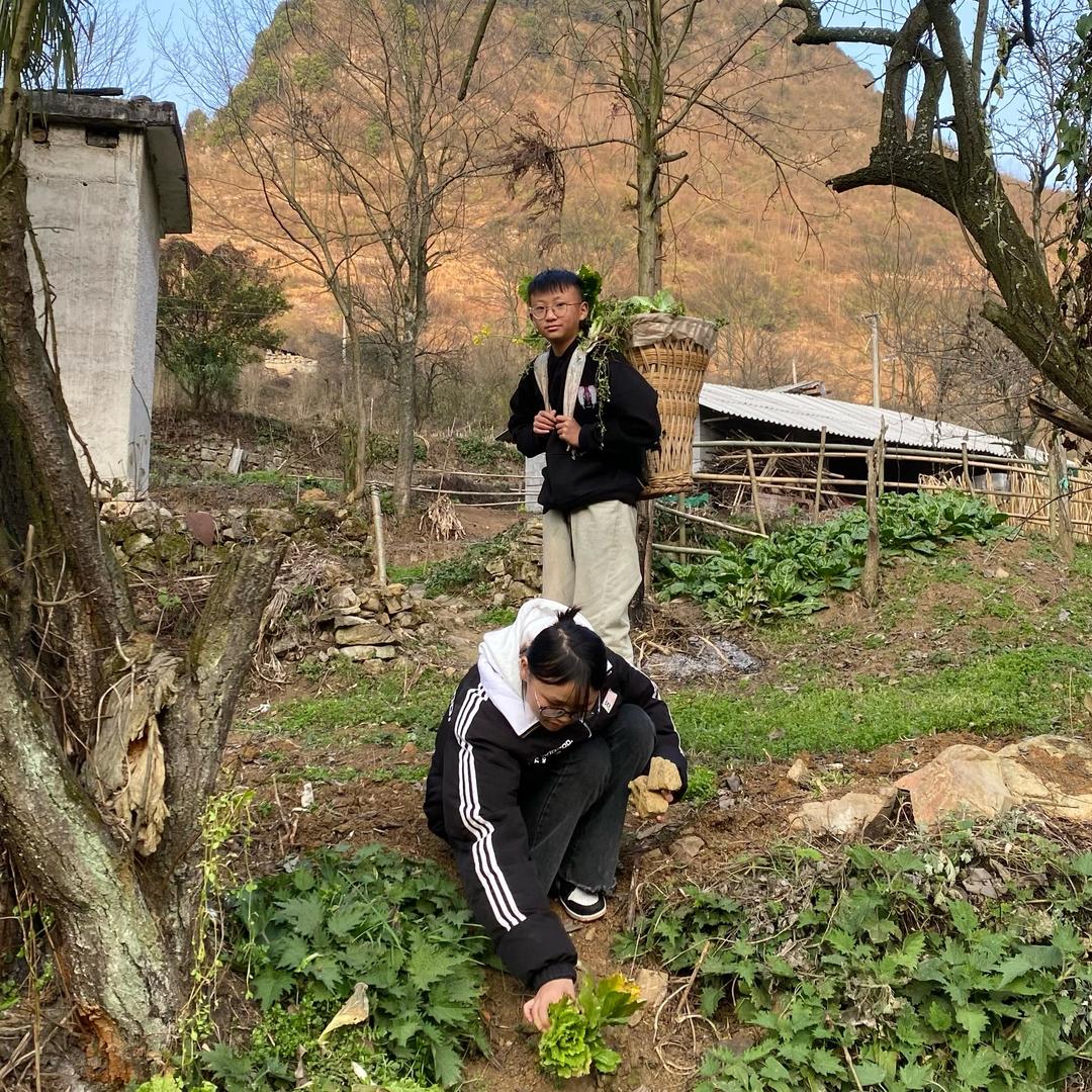 小李慧（很努力）