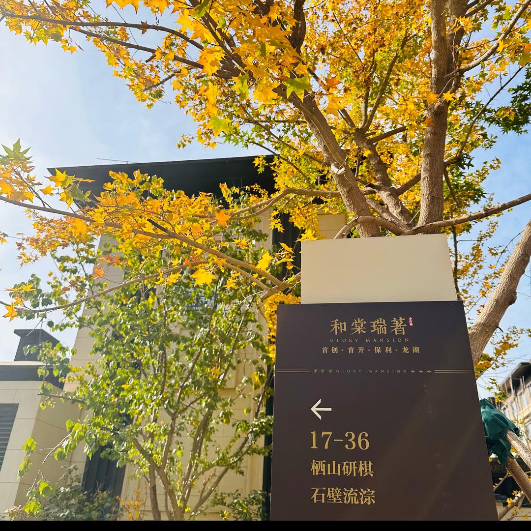 金海湖别墅V老师