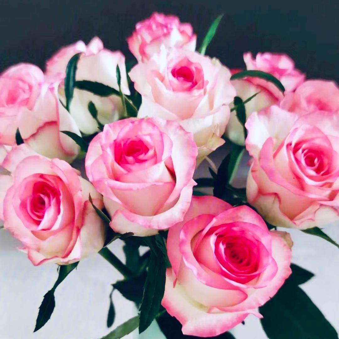 来福鲜花