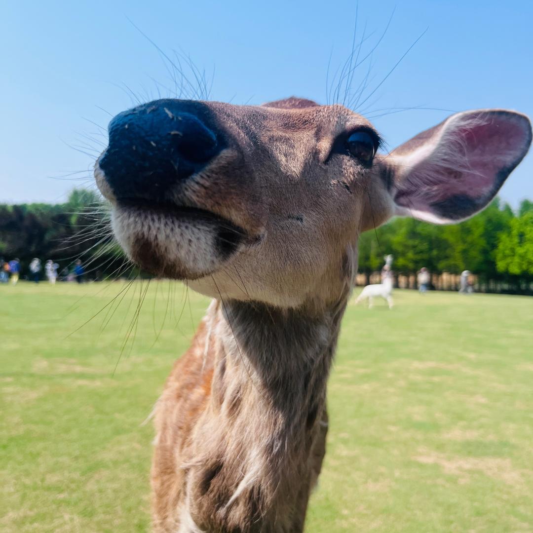 钱从四面八方来•﹏•