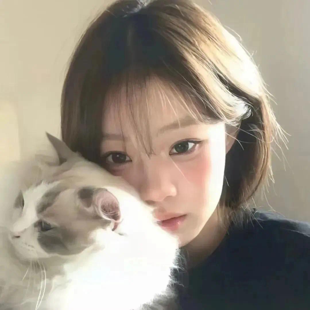 许梦蝶