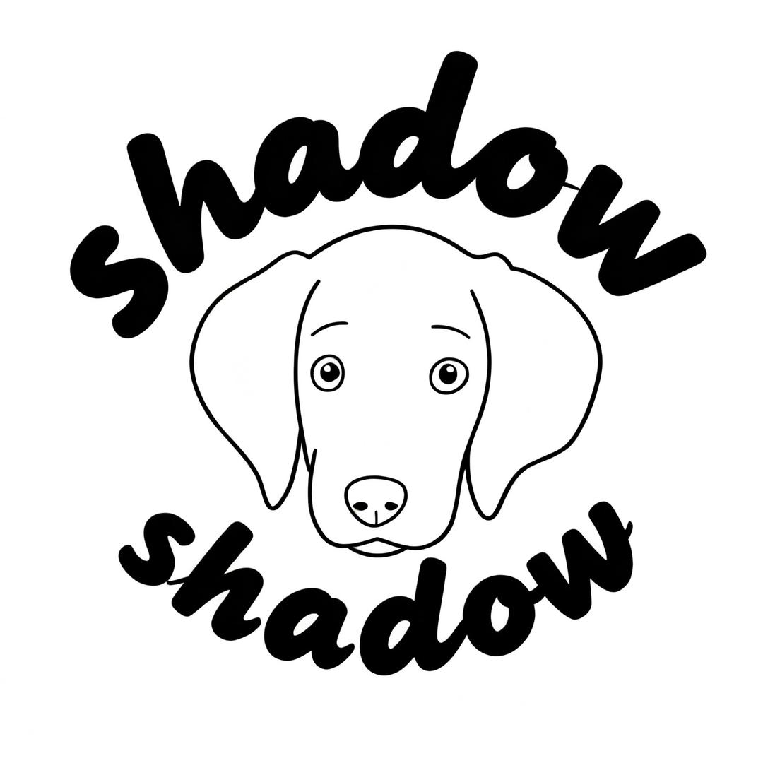 鞋豆狗宝的小卖铺