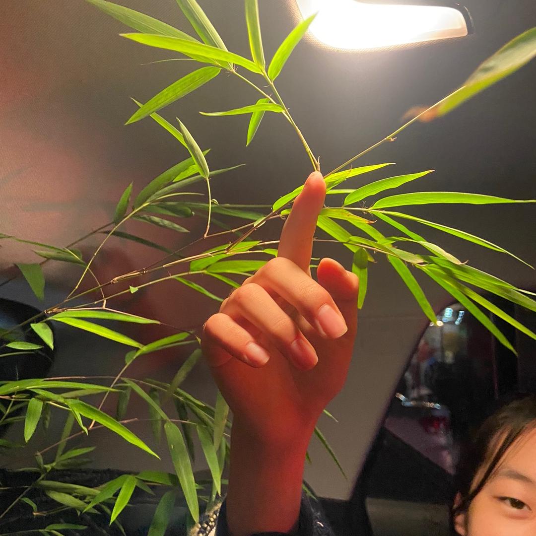 陌路花开