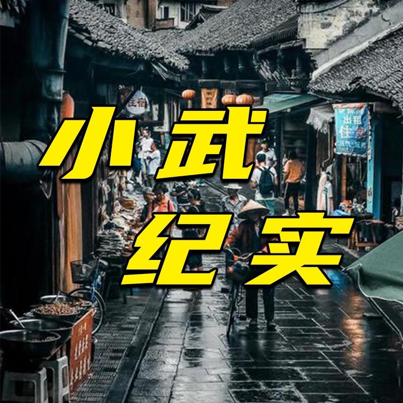小武纪实