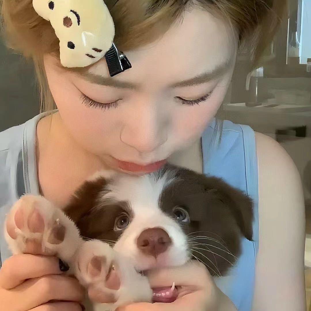🐛
