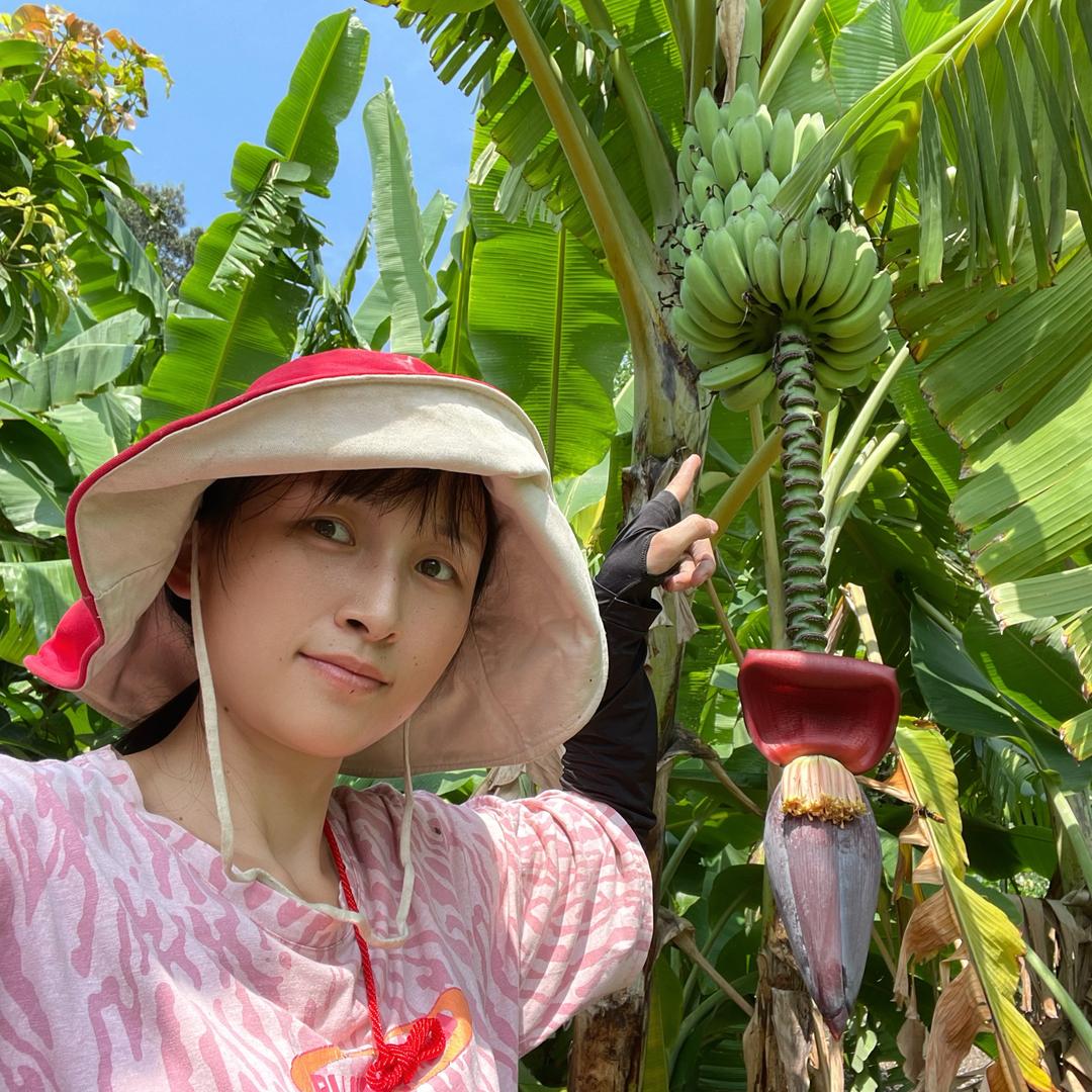 小素Zai农村
