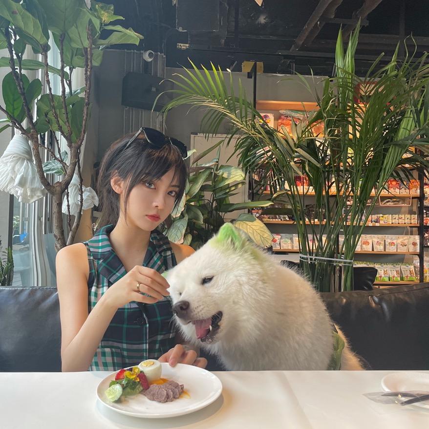 小狗菠菜在英国