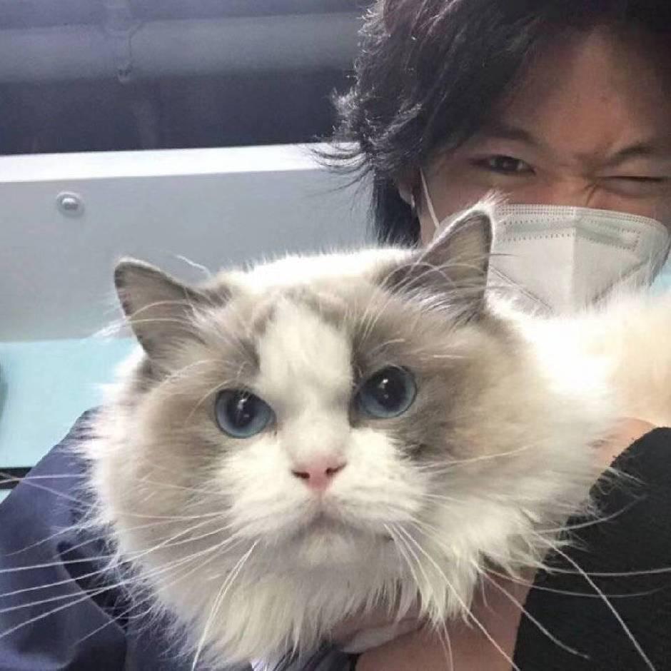 挚