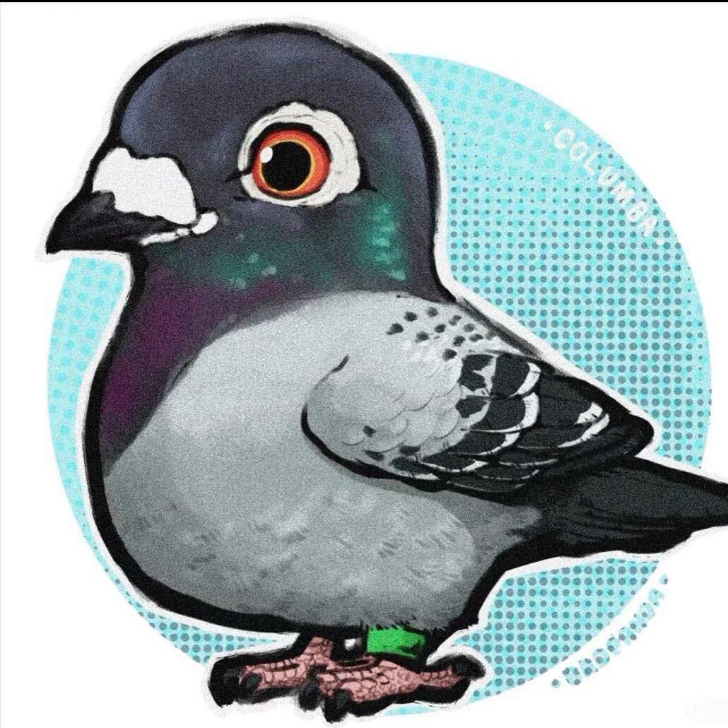 宏达生态养殖农场