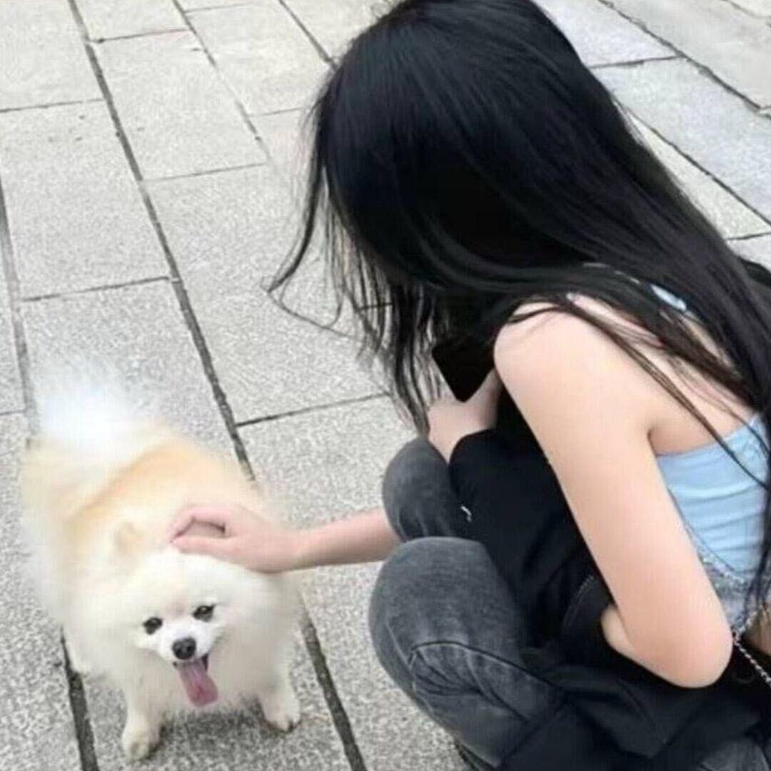 安安.