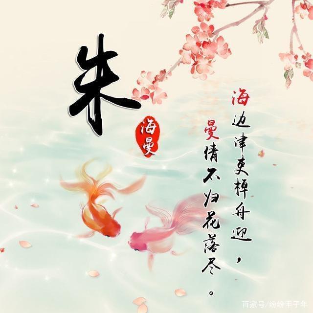 87小哥