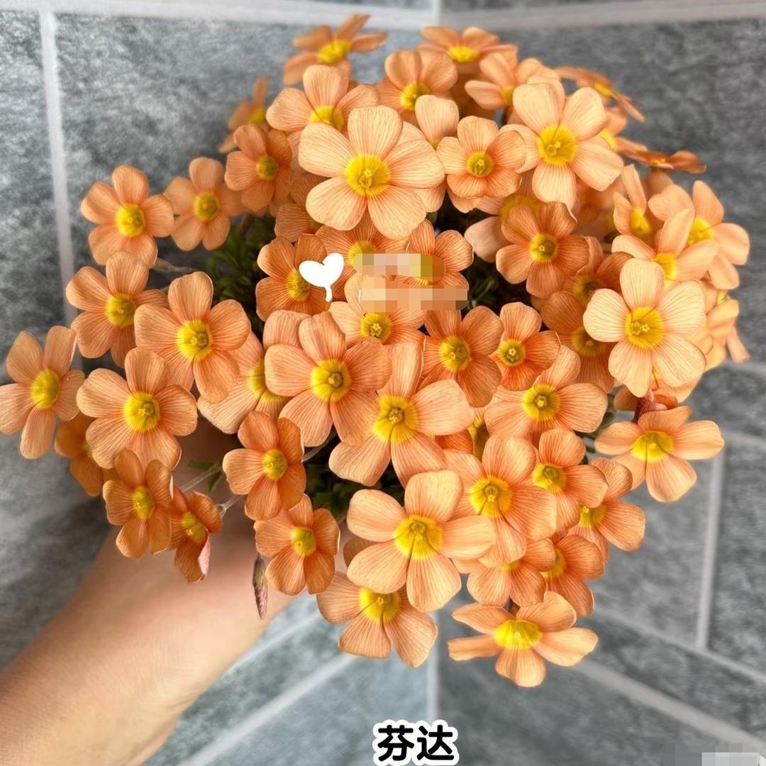 桂林临桂美心门