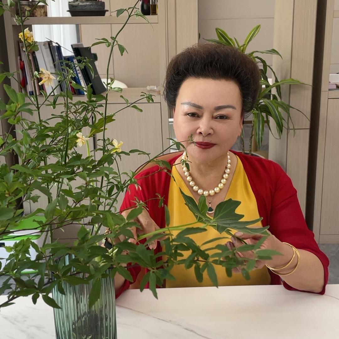 杨爱珠帝奥电梯俪人真丝馆