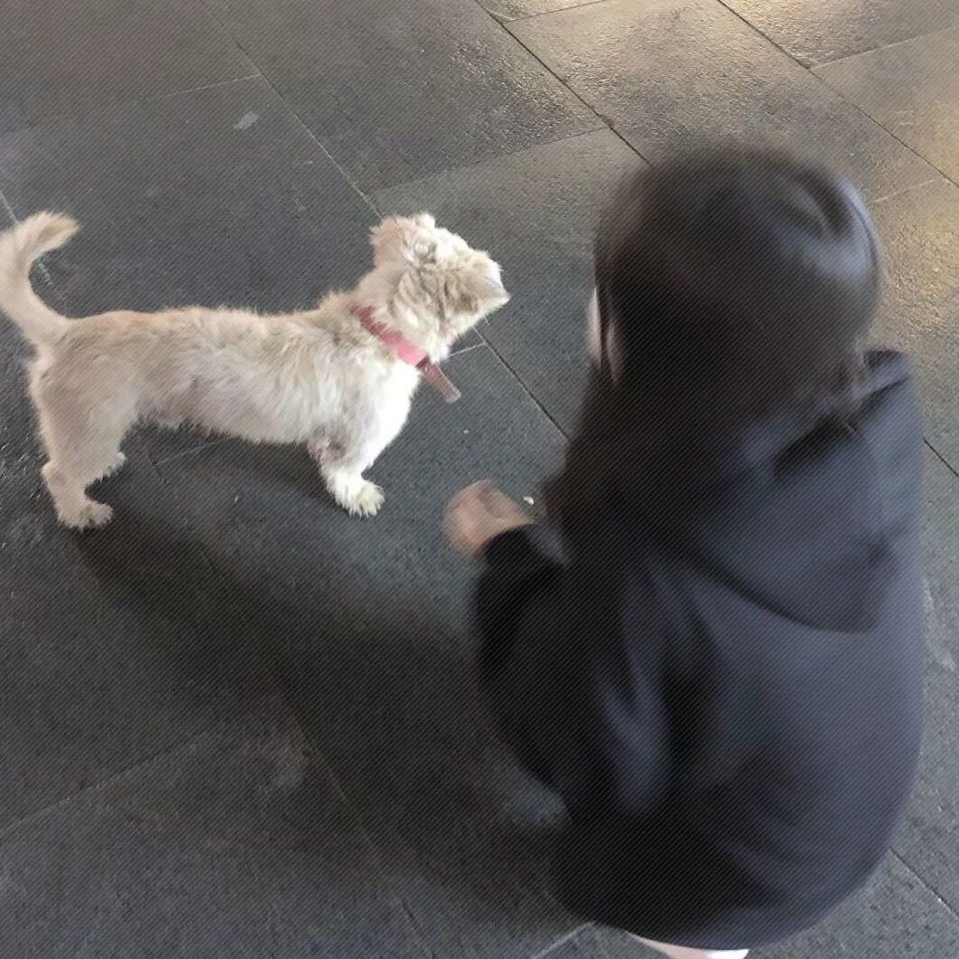 小张不爱运动
