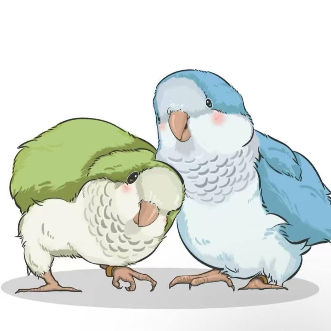 九九🦜