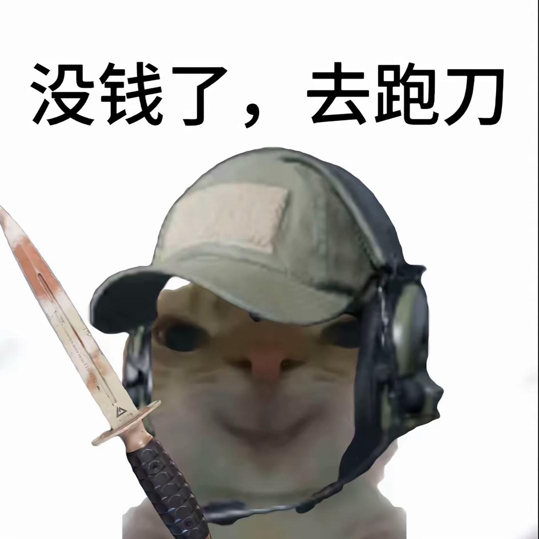 老胖跑刀(三角洲代肝)