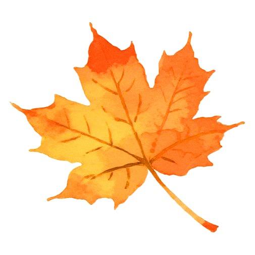 🐦‍🔥hu◡angꕥ、