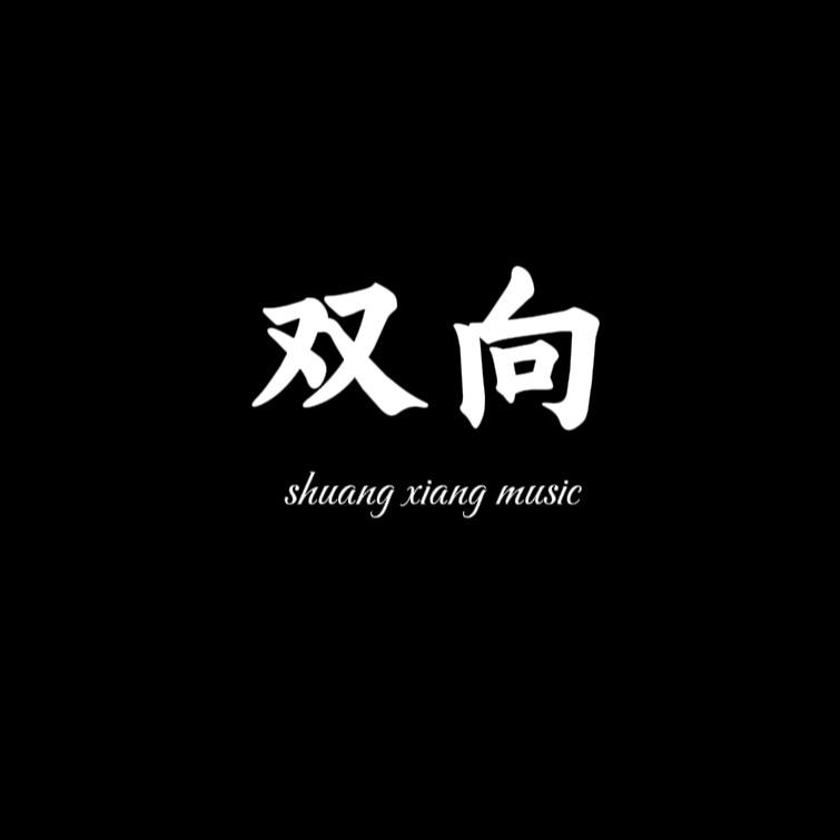 双向