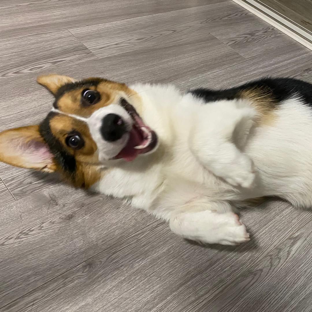 張小寧