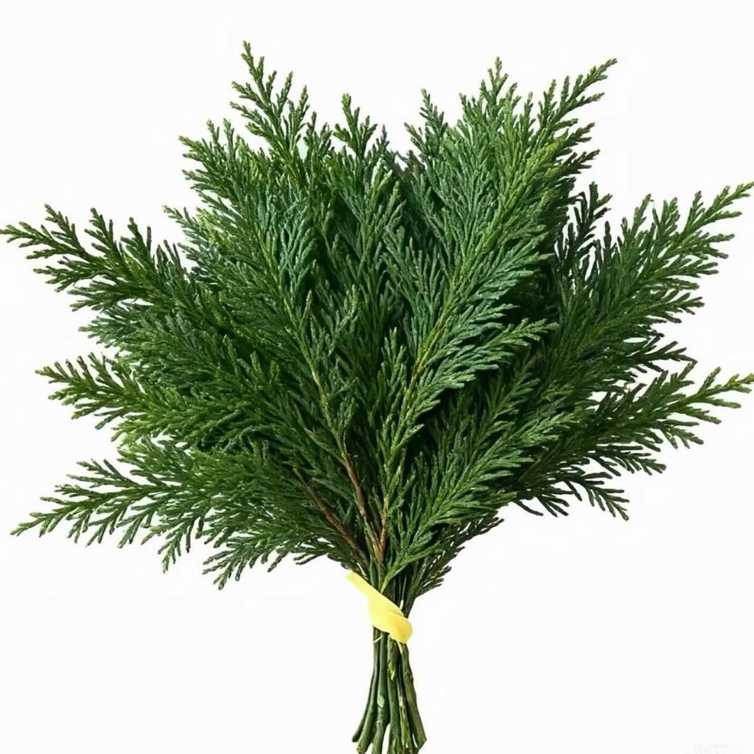 创欣手机（回收置换）