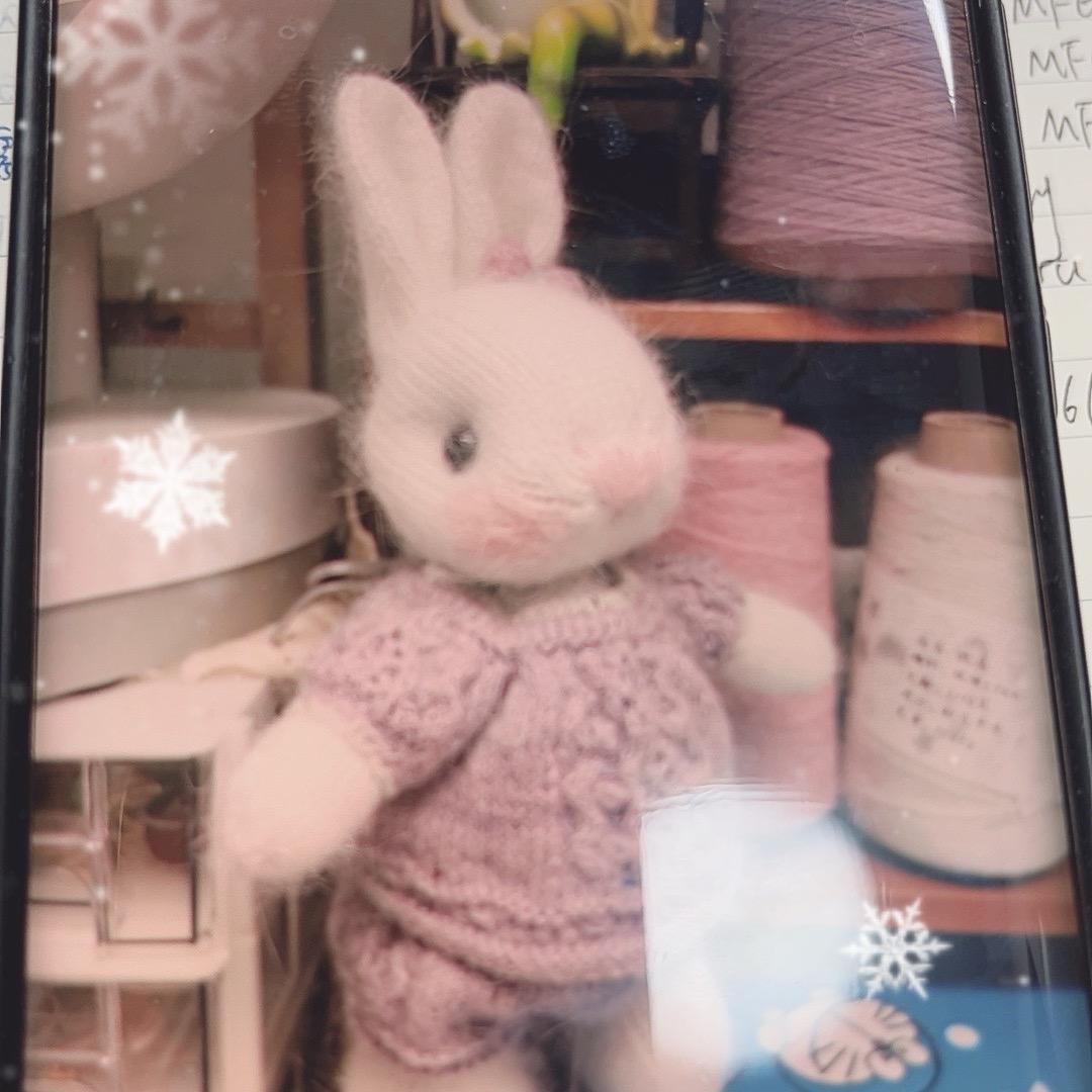 初级毛线🧶玩家