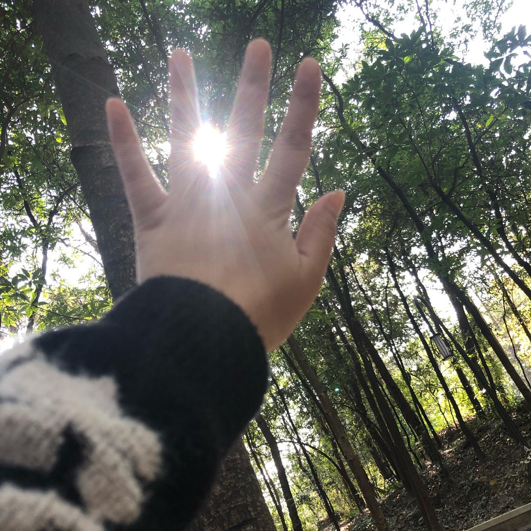 春意盎然