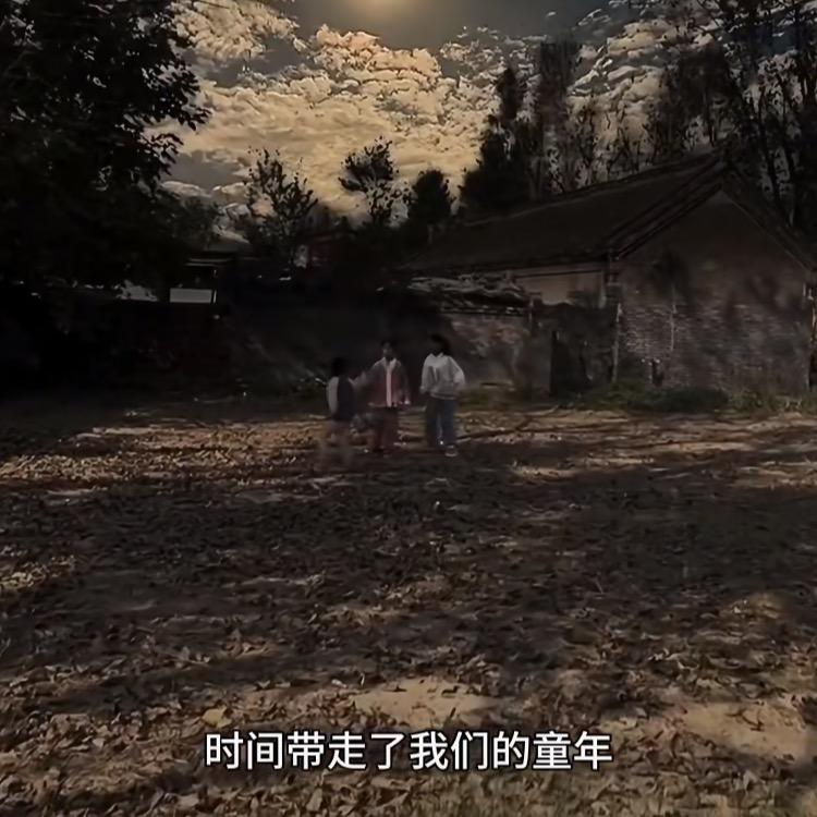 豫东燕子