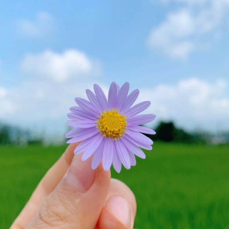 邻家百货呀呀直播号