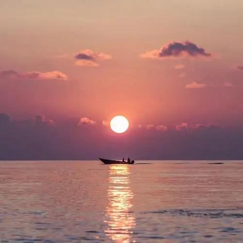 高中数学小太阳🌞