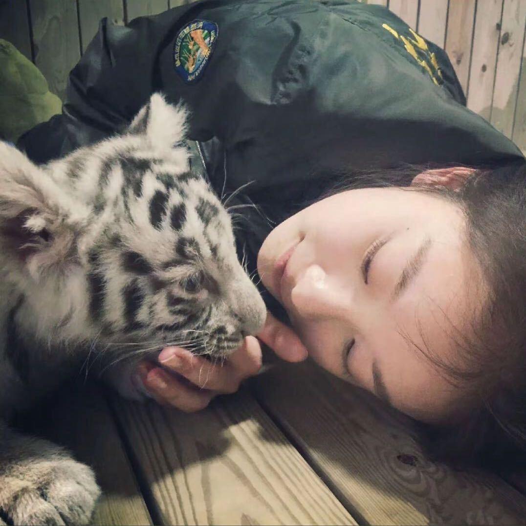 最后与你道晚安