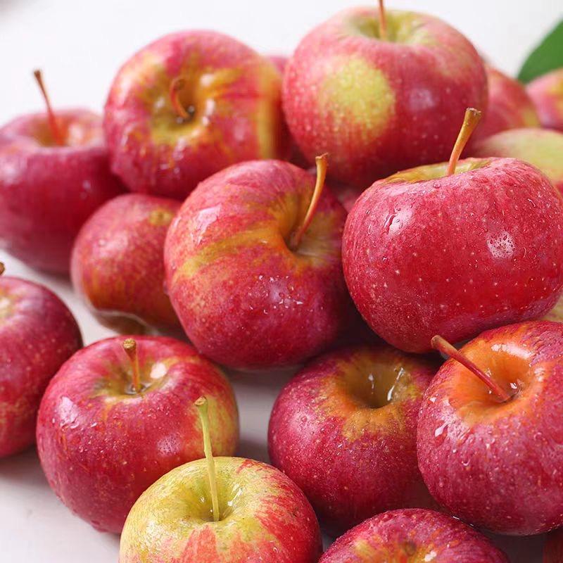 冰冰家东北特产