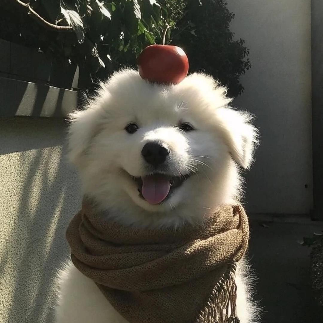 煎饼