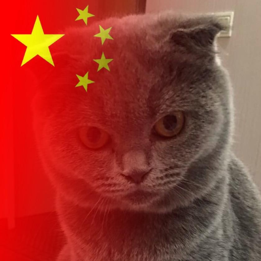 缘缘的日常