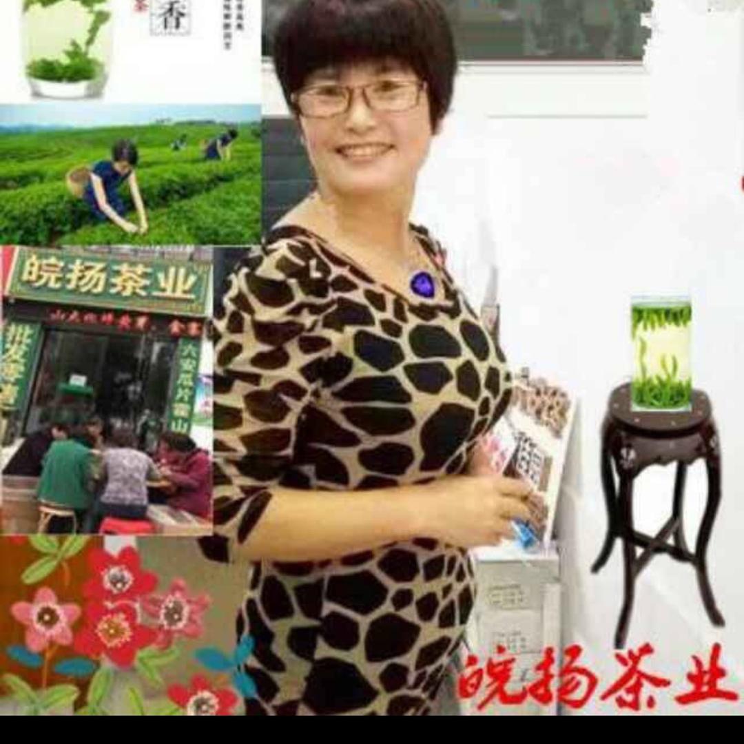 皖扬茶业