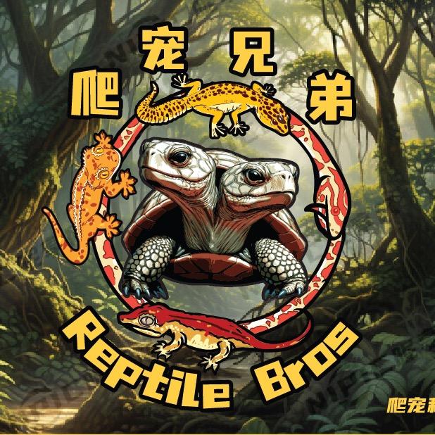 爬宠兄弟