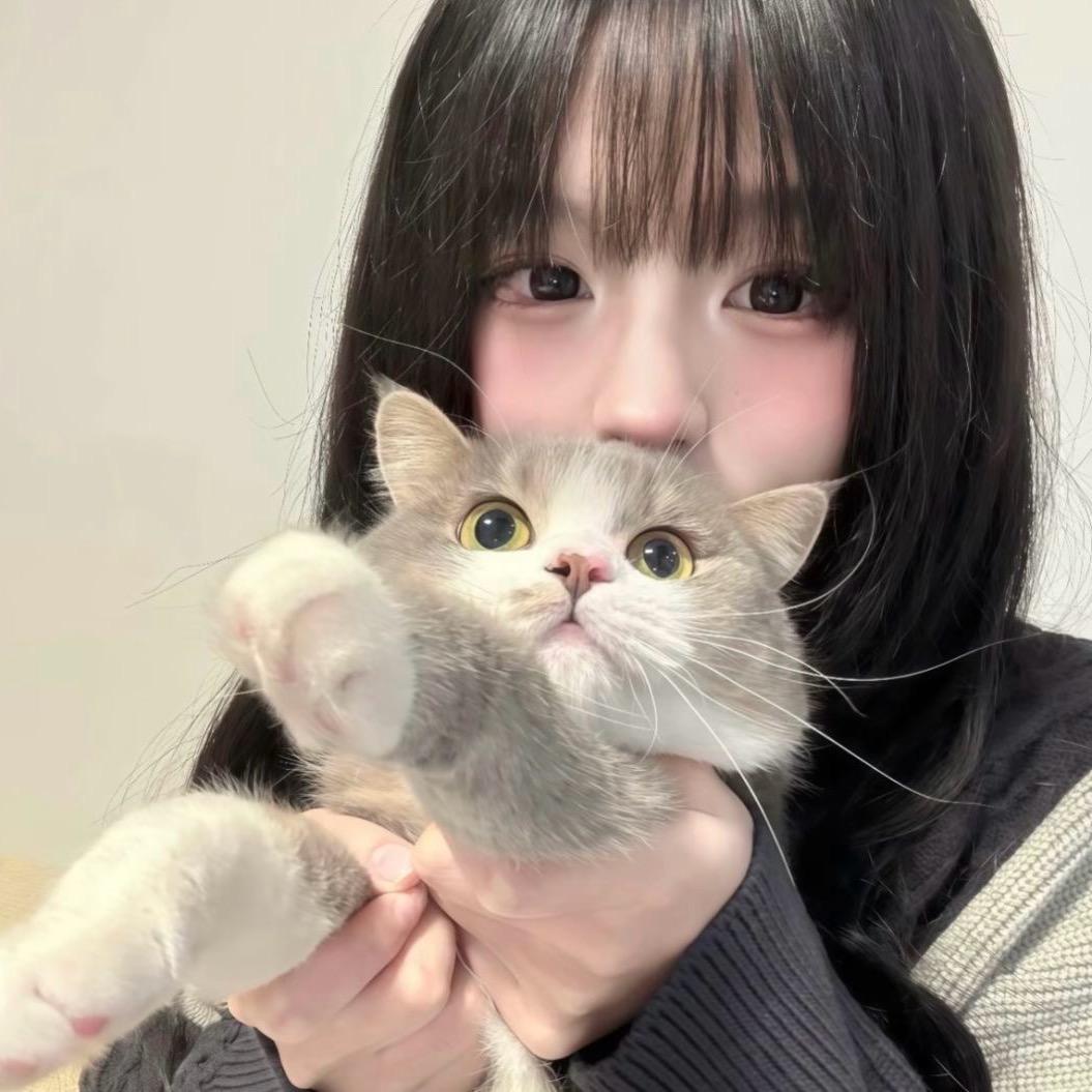 遇见宠物Toney🫧