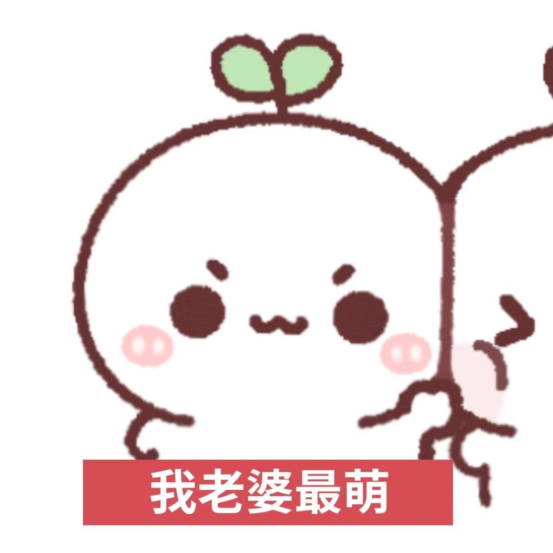布丁小圆