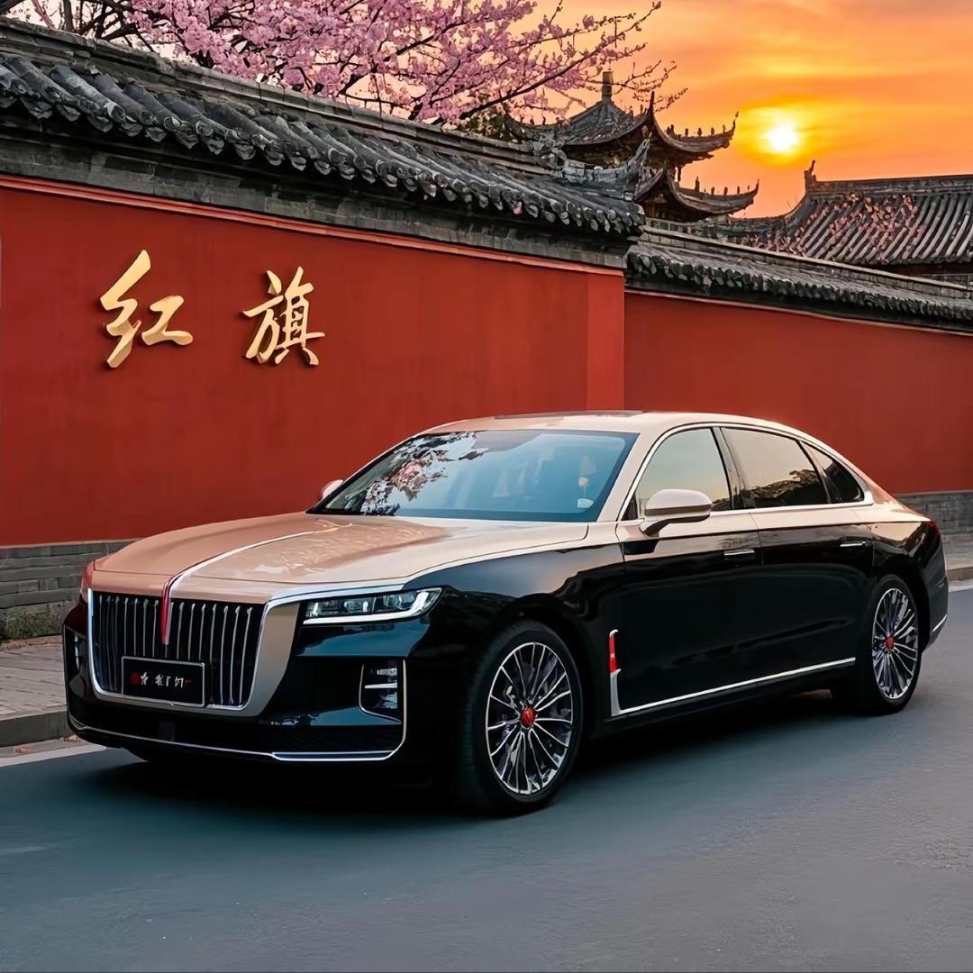 南阳红旗婚车大珂🇨🇳