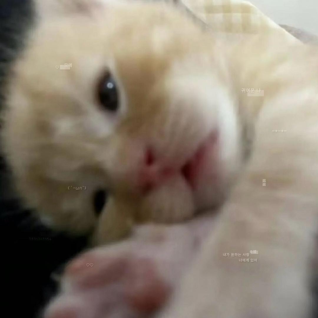 我就是想要你为了我对别人坏呀