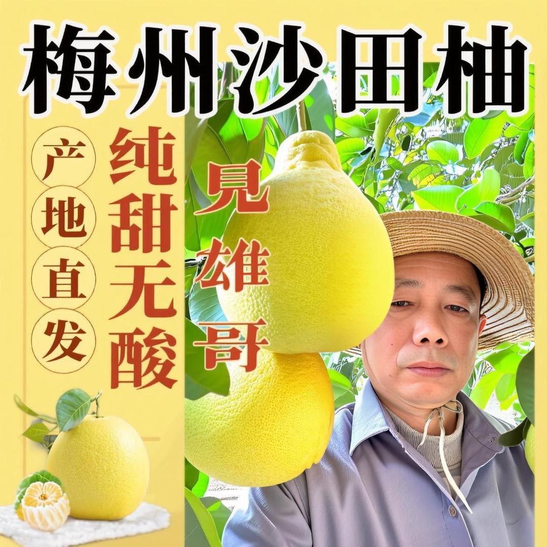 柚见雄哥生鲜（梅州纯甜沙田柚果农直发）