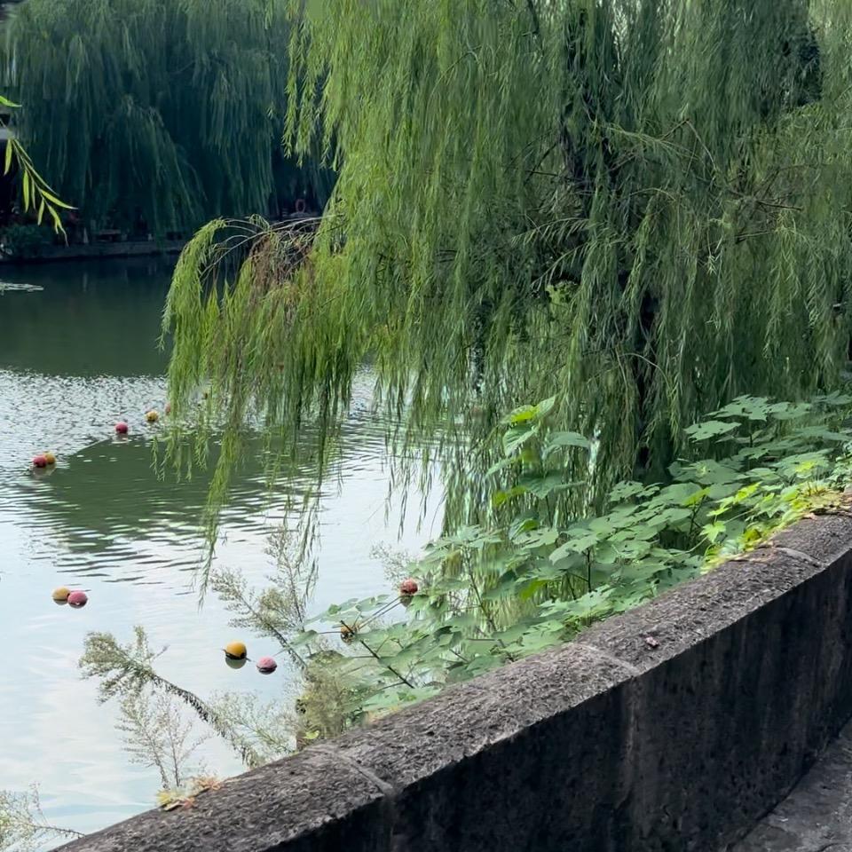 老阿姨糕点纯手工制作