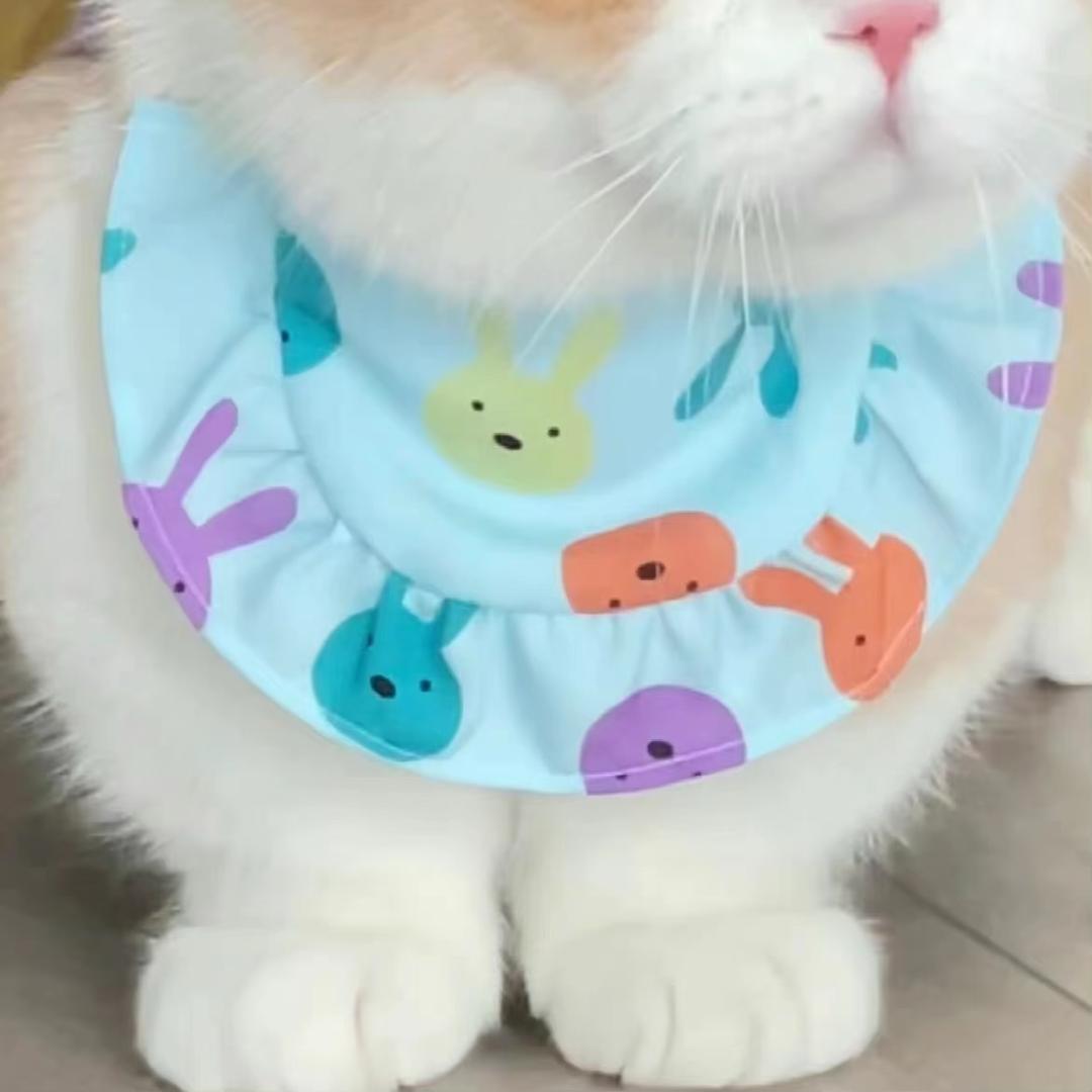 蛋包