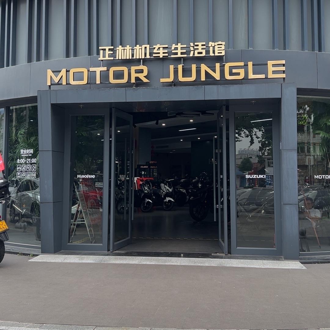 常德正林机车