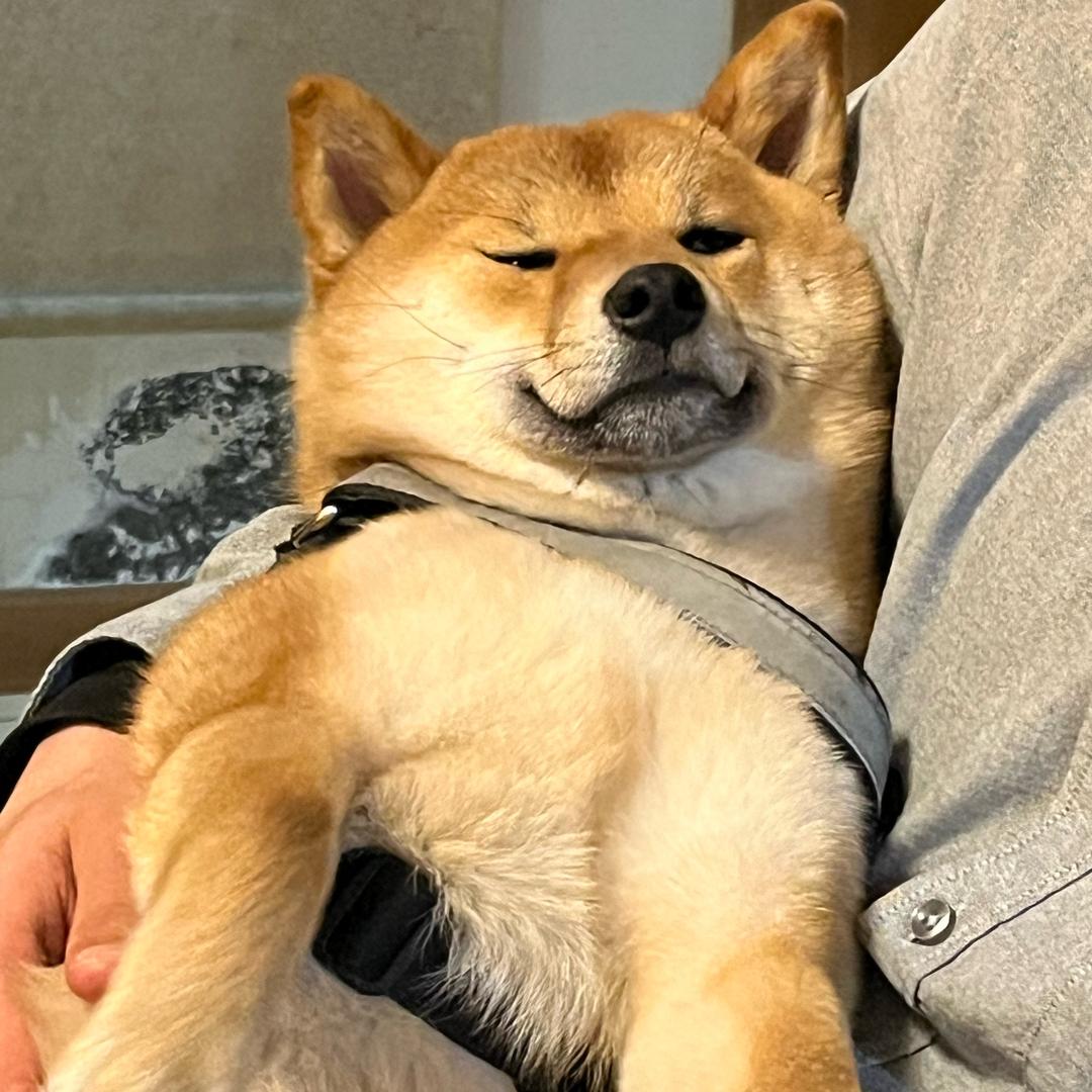 小瓶子成长日记