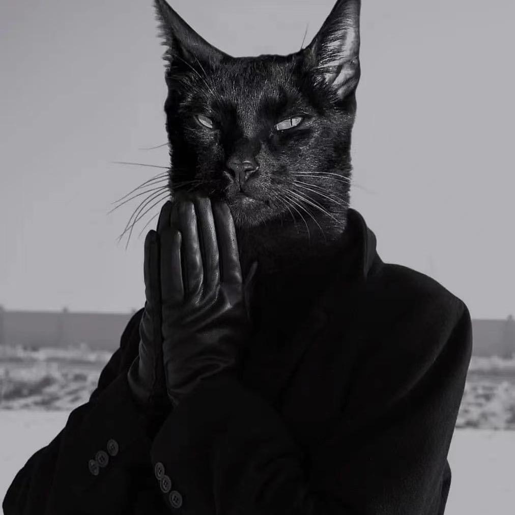 @爱吃鱼的“猫”