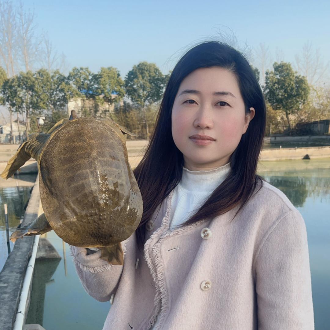 晓丽生态甲鱼