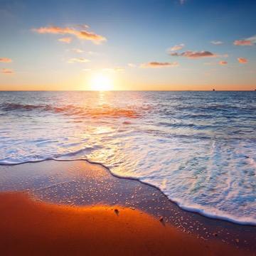 云去云来自在心