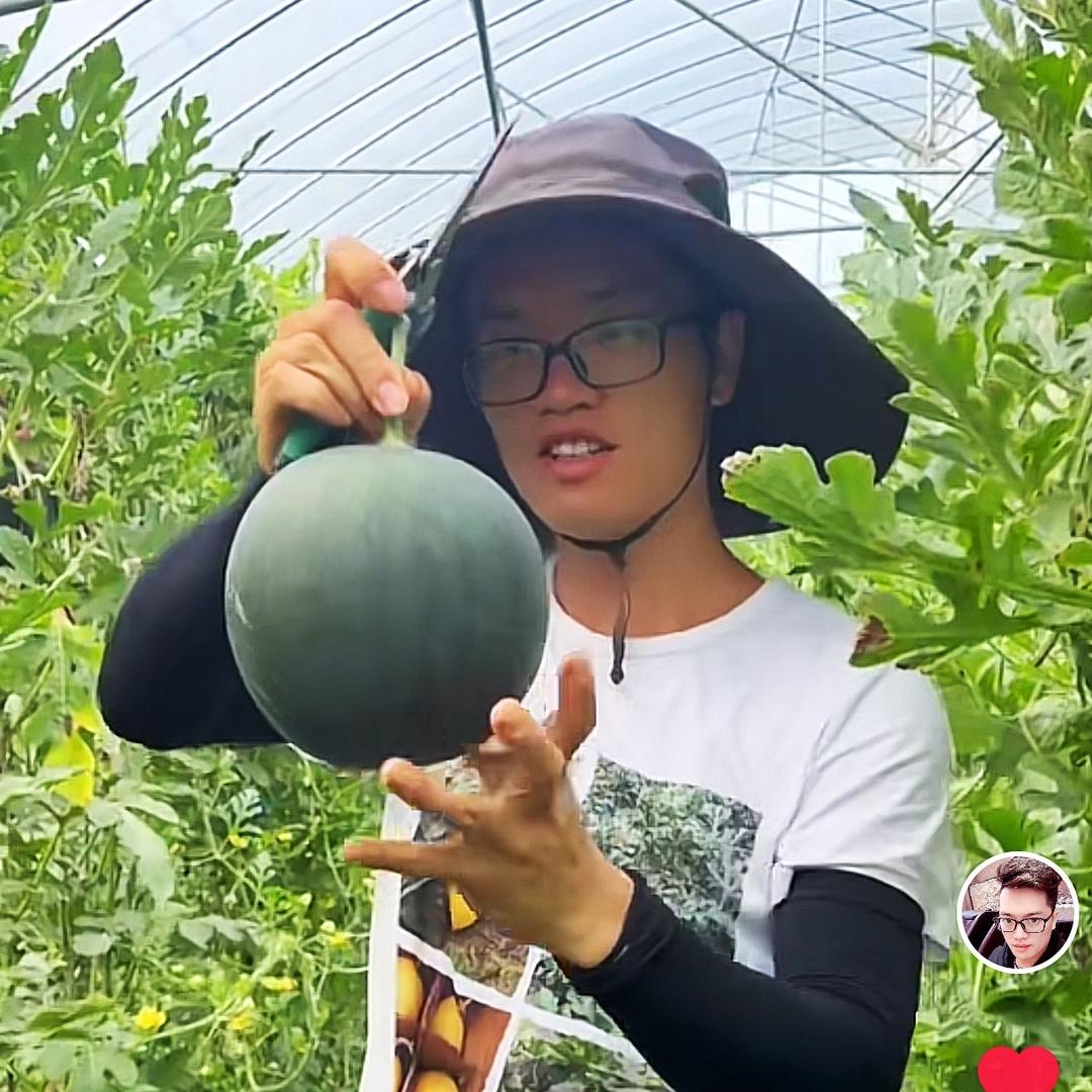 雄仔乡村